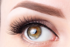 Eye with long eyelashes and light brown eyebrow close-up. Eyelashes lamination, microblading, tattoo, permanent, cosmetology, ophthalmology concept.